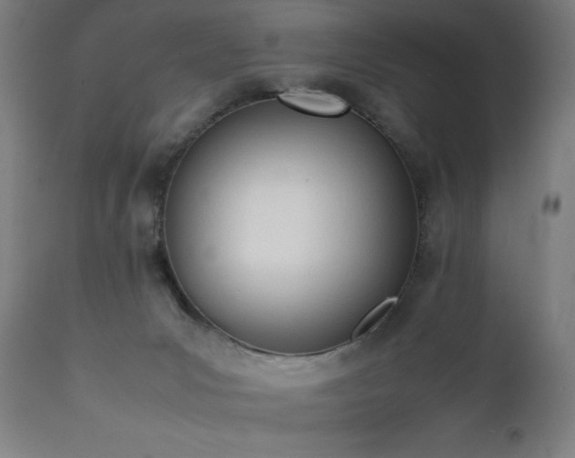 X0000112050031200908041201