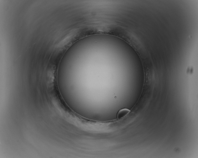 X0000112050032200908041201