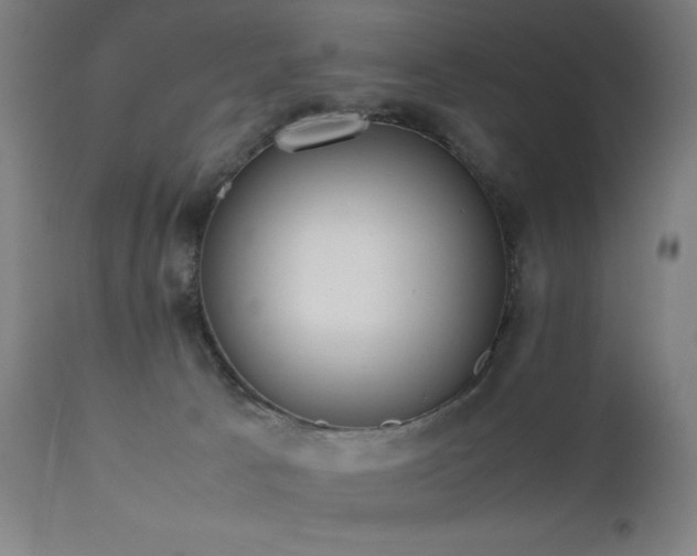 X0000112050033200908041201