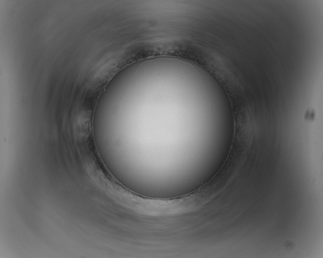 X0000112050034200908041201