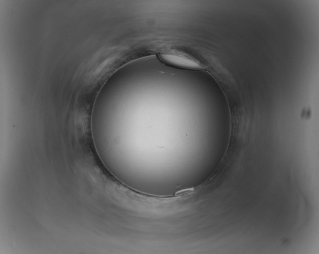 X0000112050035200908041201