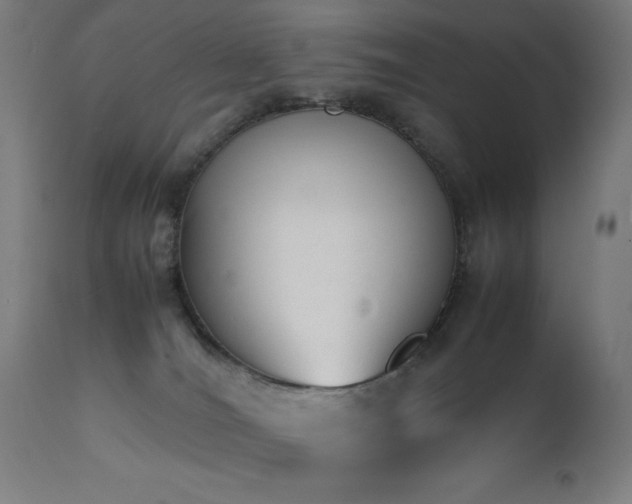 X0000112050036200908041201