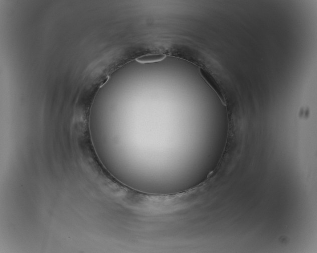 X0000112050037200908041201