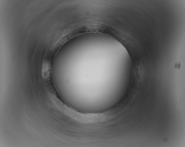 X0000112050038200908041201