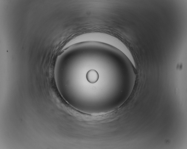 X0000112050039200908041201