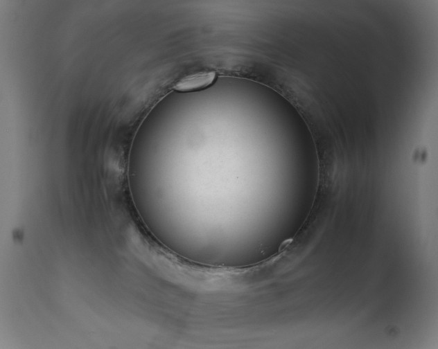 X0000112050040200908041201