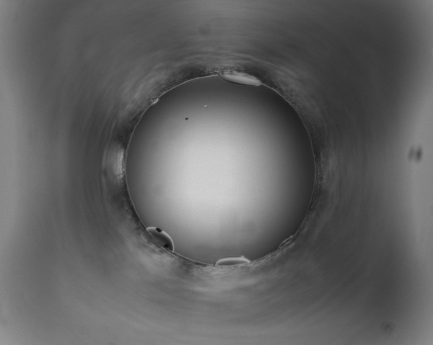 X0000112050041200908041201