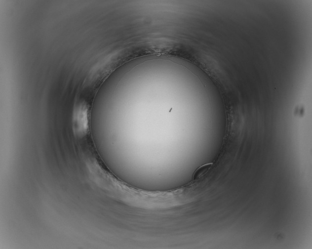 X0000112050042200908041201