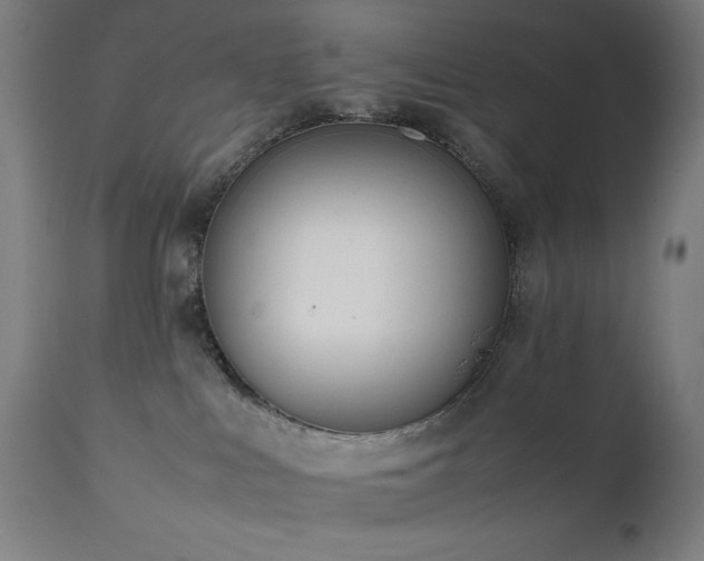 X0000112050043200908041201