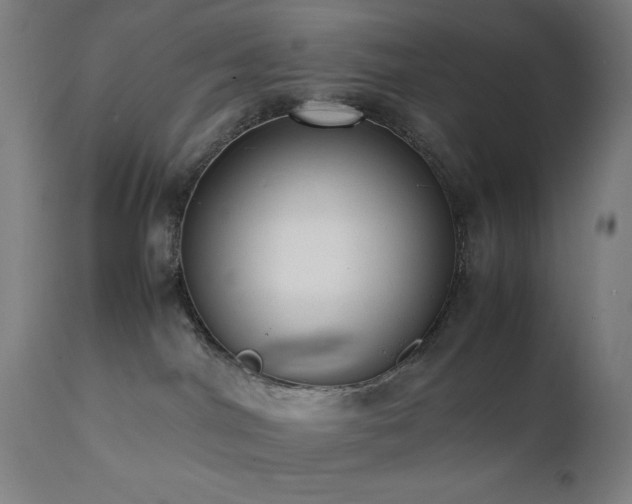 X0000112050044200908041201