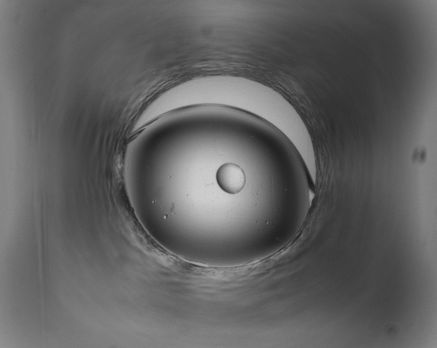 X0000112050045200908041201