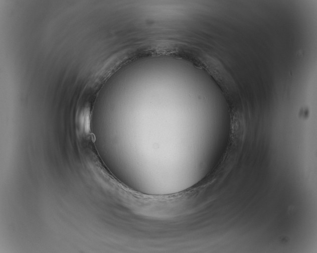 X0000112050046200908041201