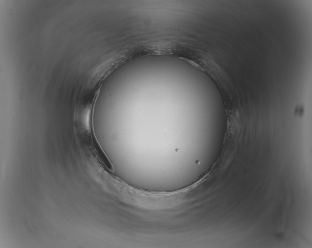 X0000112050047200908041201