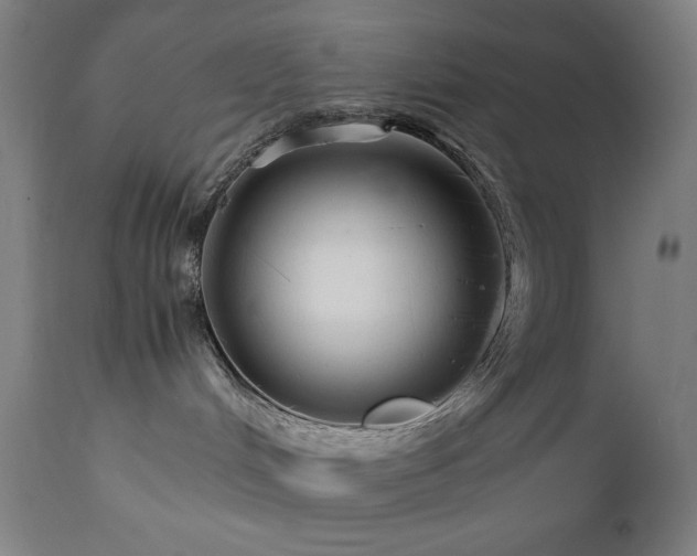 X0000112050048200908041201