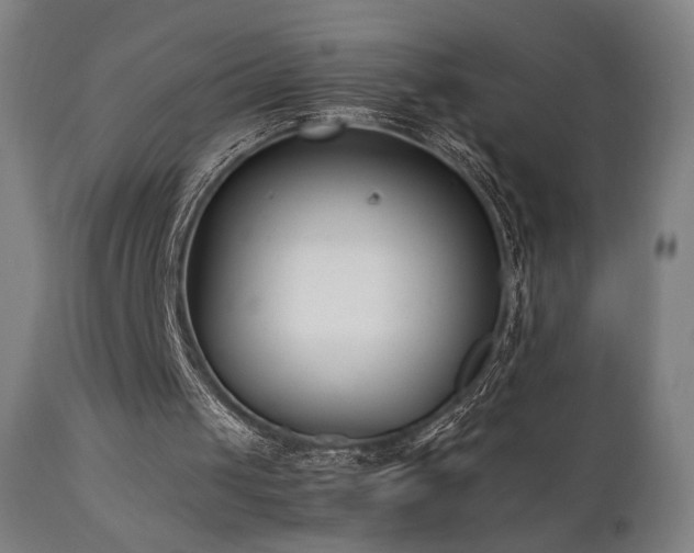 X0000112050049200908041200