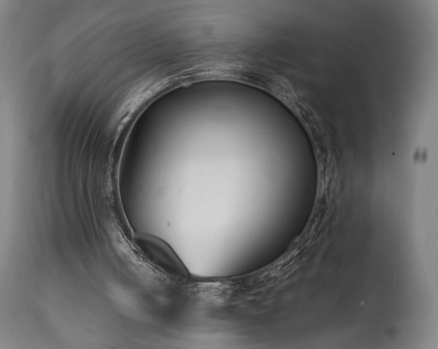 X0000112050050200908041200