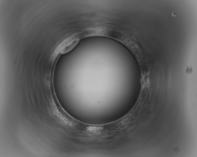 X0000112050051200908041200