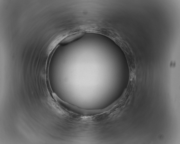 X0000112050052200908041200