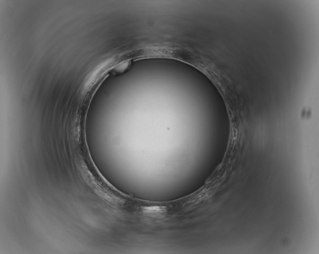 X0000112050053200908041200