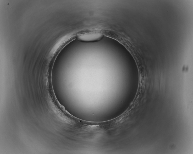 X0000112050054200908041200