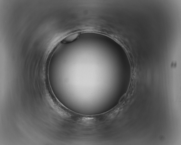 X0000112050055200908041200