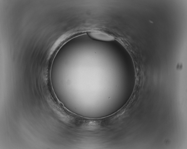 X0000112050056200908041200