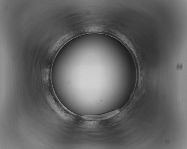 X0000112050057200908041200