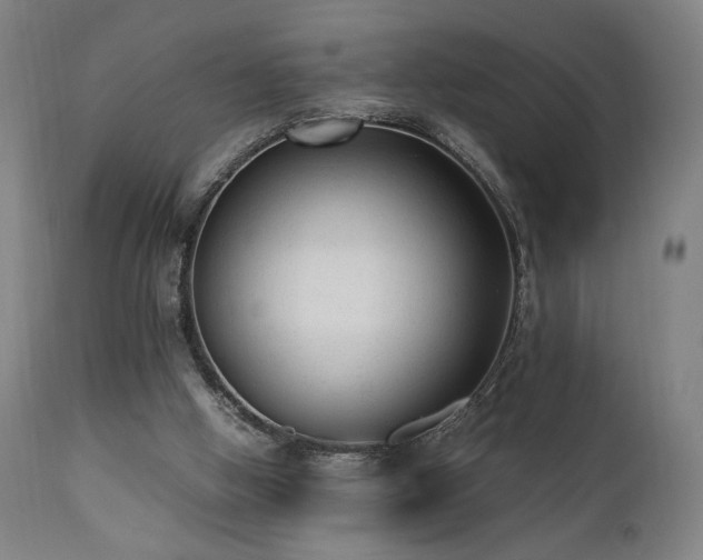 X0000112050058200908041200