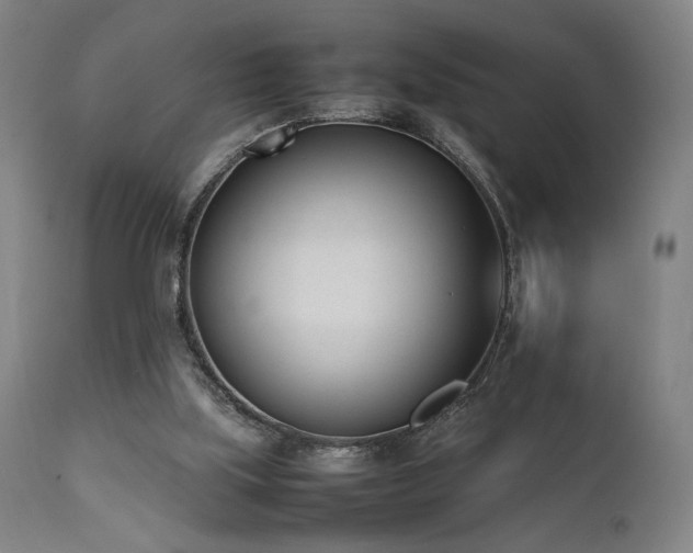 X0000112050059200908041201