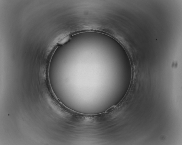 X0000112050060200908041201