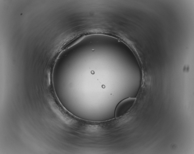 X0000112050061200908041201