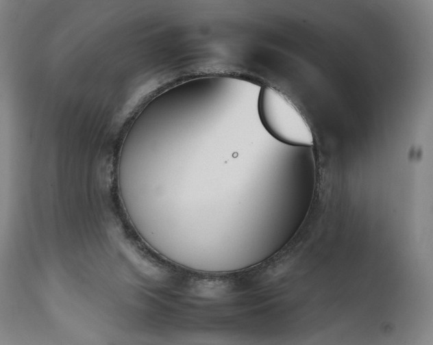 X0000112050063200908041201