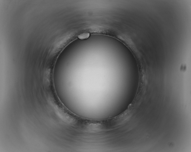 X0000112050066200908041201