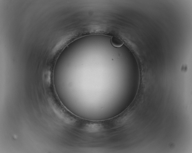 X0000112050067200908041201