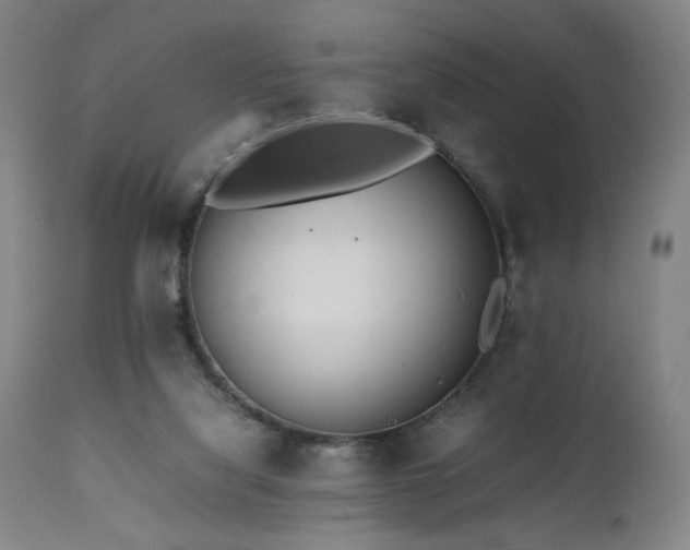 X0000112050068200908041201