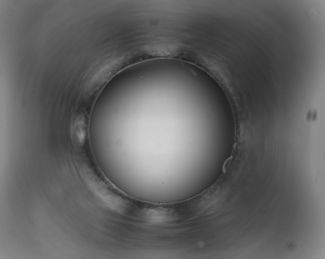 X0000112050069200908041201