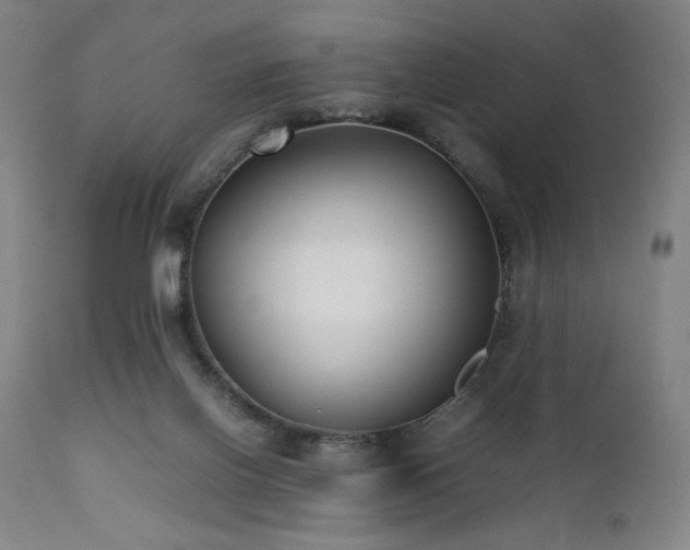 X0000112050070200908041201