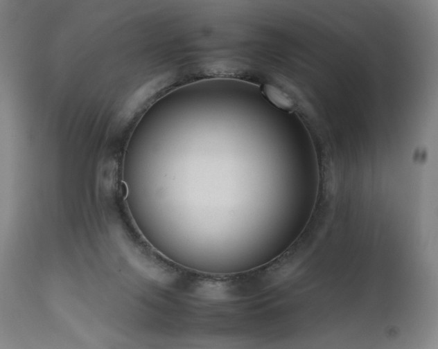 X0000112050071200908041201