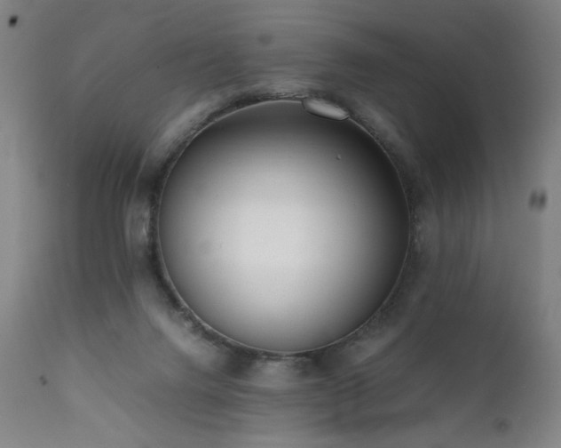 X0000112050072200908041201