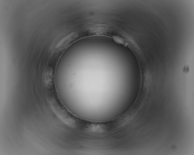 X0000112050073200908041201