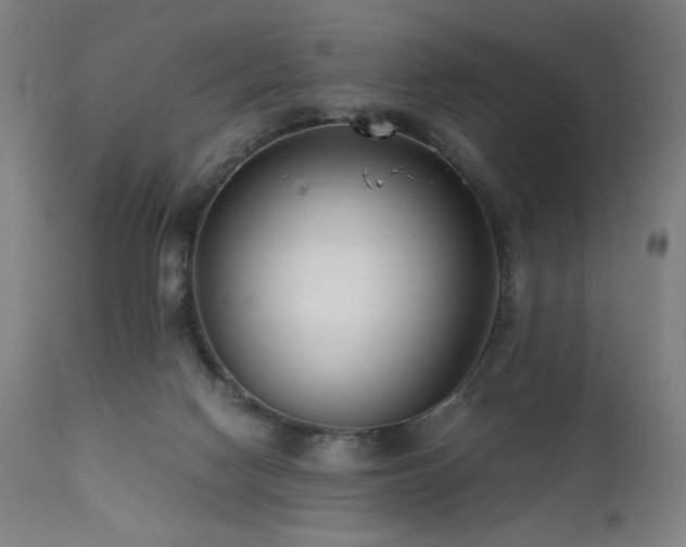 X0000112050074200908041201