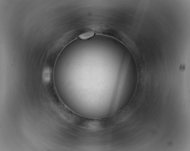 X0000112050075200908041201