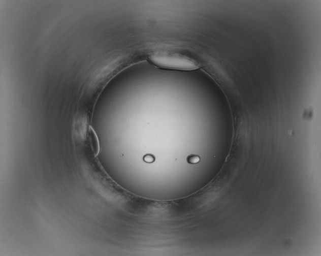 X0000112050076200908041201