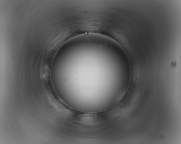 X0000112050077200908041201