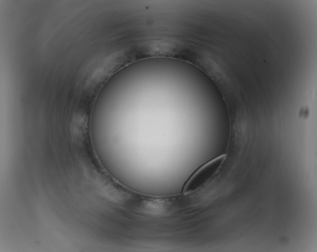 X0000112050079200908041201