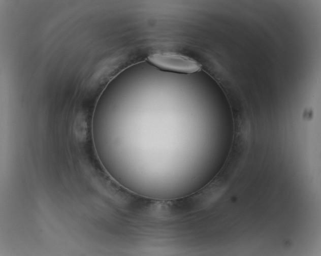 X0000112050080200908041201