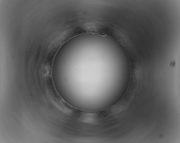 X0000112050081200908041201