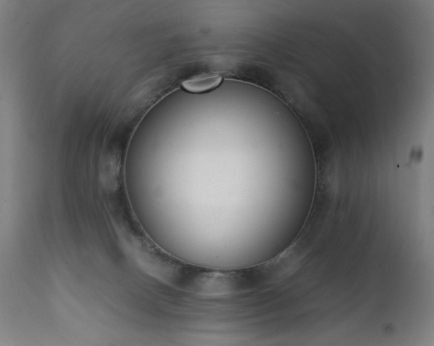 X0000112050082200908041201