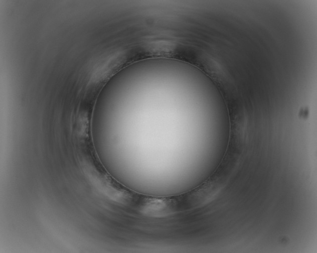 X0000112050083200908041201