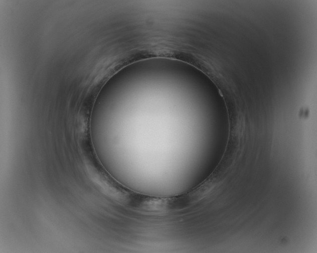 X0000112050084200908041201